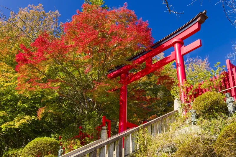 pixta_99063969_M (1)